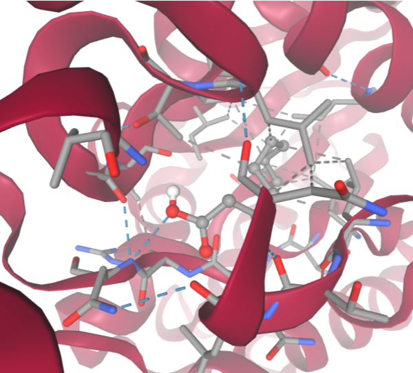 SwissDock-based analysis of the intermolecular interactions between Decanoate and 4Q7Q's proposed active site 