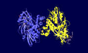 Glycerol 3-Phosphate Dehydrogenase