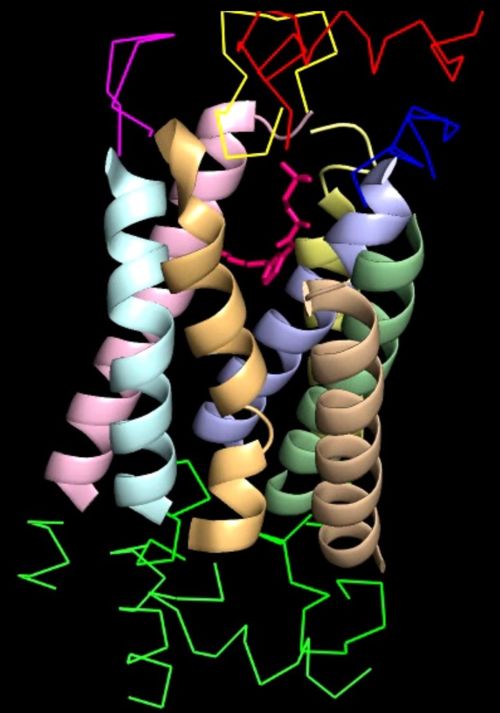 Fig11: Ligand occupying the space because of the gap between TM-I & TM-VI(4).