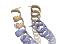 Figure 3. Unresolved residues of "loop left" structure (PDB: 8H7C).