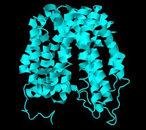 2V8N wildtype Lactose Permease