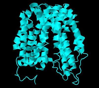 2V8N wildtype Lactose Permease