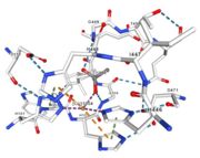 Figure 6: Acetate ion 1005