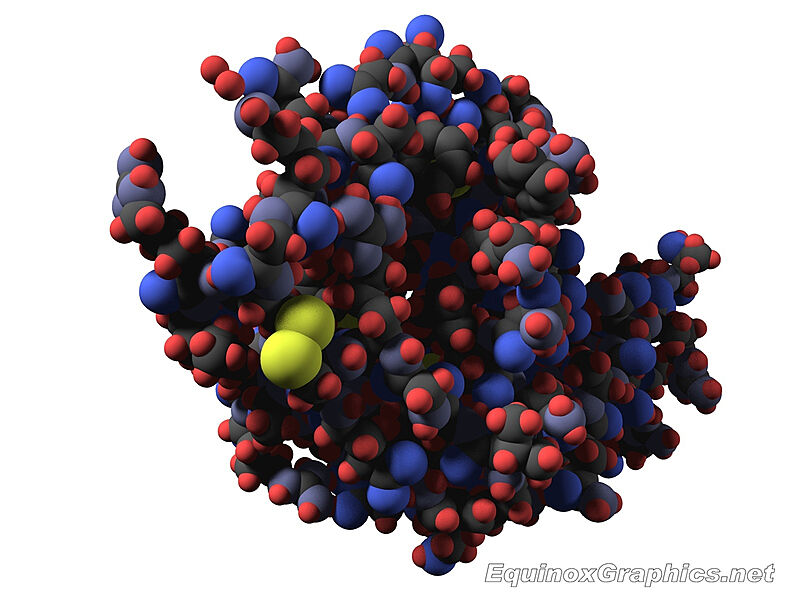 Image:Jh290-lysozyme-protein-str-1-7e526b8e-qo2o.jpg