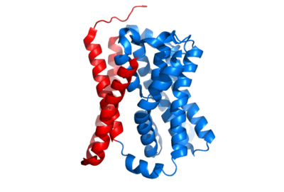 The coolest image of this protein EVAH!!!