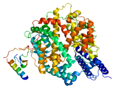 Protein ACE2, 1r42