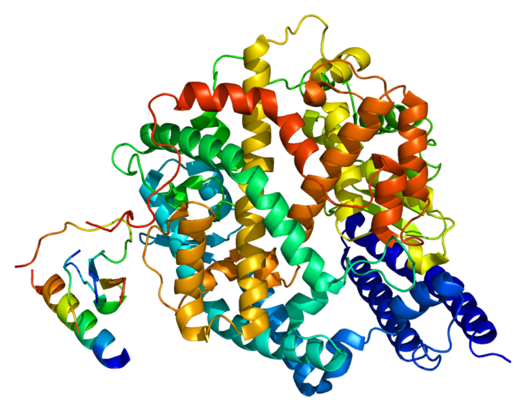 Image:Protein ACE2 PDB 1r42.png