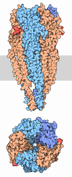 Image:2bg9 composite.gif