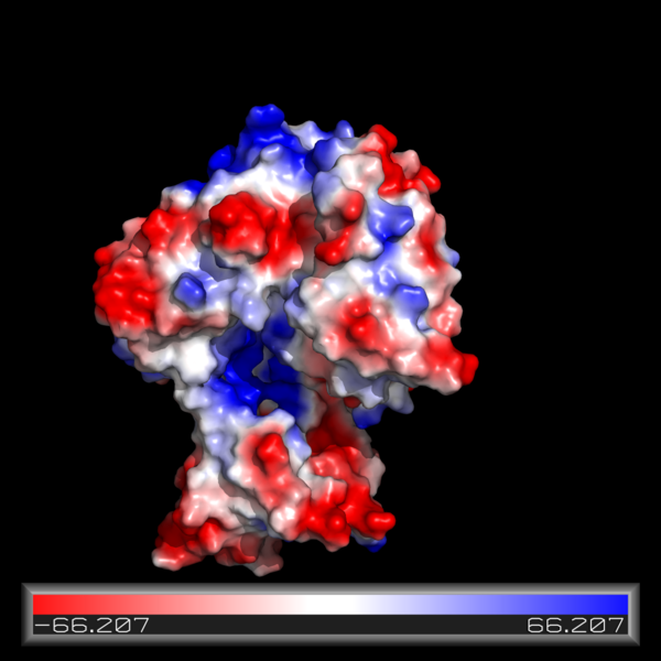 Image:Electrostatics fadD13.png