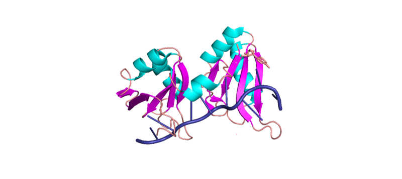 Image:Image-1cvj.png
