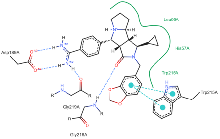 A two-dimensional representation of trypsin binding Ligand UB-THR 10