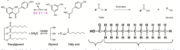 Figure 1:Diagrams Figure 1 (A-D clockwise) A: Hydrolases simply refer to any enzyme that catalyzes a hydrolysis reaction where H20 is added to cleave chemical bonds. Figure B: Esterases split esters into an alcohol and an acid through hydrolysis Figure C: Lipases catalyze the hydrolysis of lipids, or fats. Lipases are most commonly found on ∂/ß hydrolase chain and often contain the catalytic triad serine, histidine, and aspartic acid. Figure D: Lipid Chain with an extend- ed hydrocarbon chain, similar to the nitrophenyl palmitate.