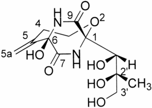 Structure of bicyclomycin