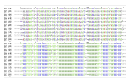 NEW: Despite the low sequence similarity the hypothetical protein is a prototypical YjgF/YER057c/UK114 endoribonuclease