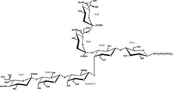 GT1-b analogue which was used to bind to the Hc fragment in this study. The analogue differs from the native GT1-b in that Sia6 is the β-anomer and the ceramide group has been replaced.