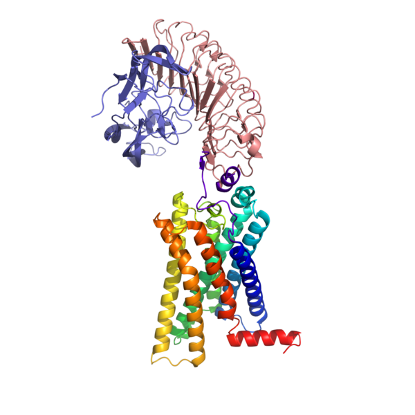 Image:TSH ActiveTSHR2.png
