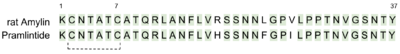Figure 5. Sequence alignment of rat amylin and pramlintide.