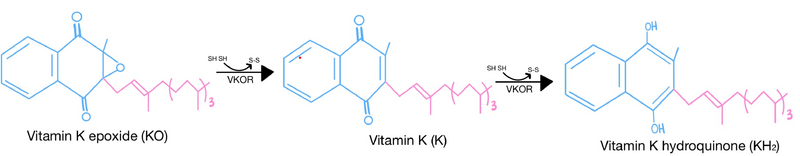 Image:Vitamin K structure.png