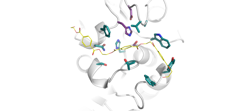 Image:11 res.png