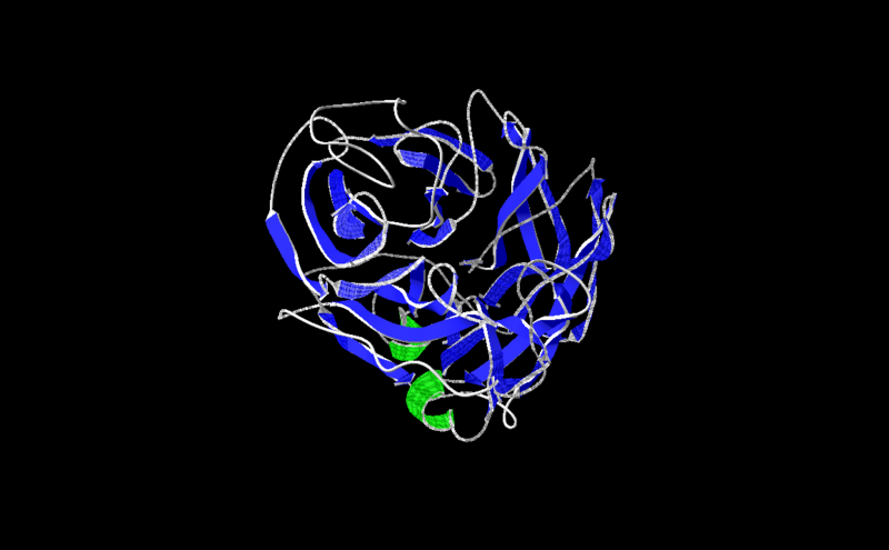 Image:2HU4monomer.png
