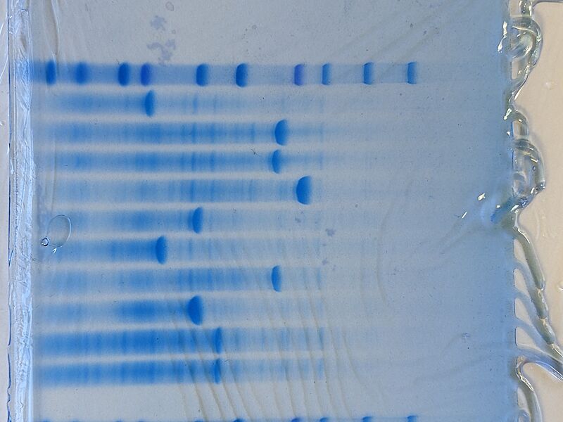 Image:PXL 20230720 130648246.jpg