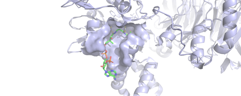 Image:Binding interface.png