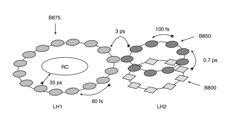 Image:Energy transfer.png