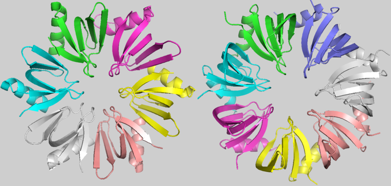 Image:Proteopedia Hfq-SmAP1.png