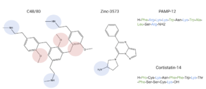 Common MRGPRX2 ligands with positive regions in blue, negative regions in red, and hydrophobic regions in green