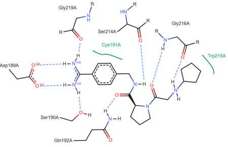 A two-dimensional representation of trypsin binding Ligand UB-THR 10