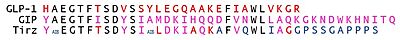 Figure 2. Sequence alignment of GLP-1 (red), GIP (pink), and Tirzepatide (blue). Residues highlighted in blue are unique to trizepatide, and residues highlighted in black are found in the sequence of all three of the incretin polypeptides.