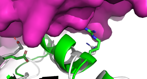 Figure 2: