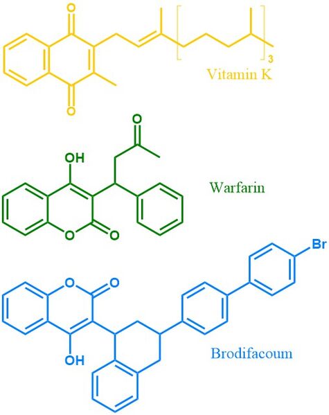 Image:VKOR Substrates.jpg