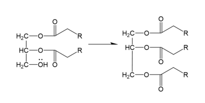 Figure 2. General schematic of DGAT1's function.