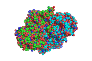 Overall structure of 1SJ2, showing that the structure is a homodimer.