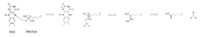 Figure 4: Hydride transfer mechanism of LSD-1 active site via FAD cofactor.