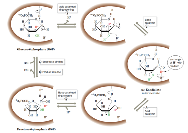 Image:Fig 15-3 839 592.png