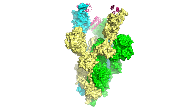 Image:Full Spike Protein0001.png