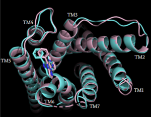Figure 5: Caption.