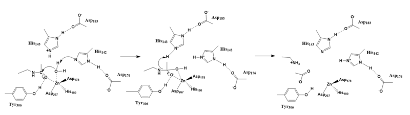 Image:Hdacmechanismfinal.PNG