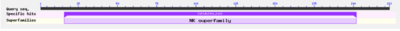 BLASTp Alignment showing a hit with cytidylate kinase-like family, part of the NK superfamily.