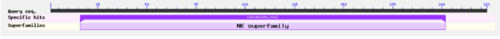 BLASTp Alignment showing a hit with cytidylate kinase-like family, part of the NK superfamily.