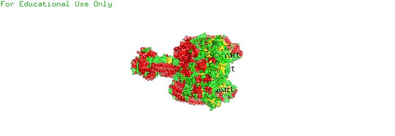 Image:Overall VA-ATPase.jpg