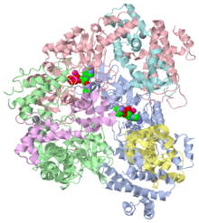 PyMol representation of 1lvc
