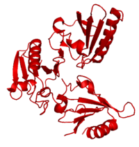 Crystal Structure of Human Severin, 3fg6