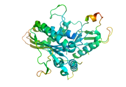 Occupancy of 1YRS.pdb.  Dark blue residues are well-defined, whereas red are very mobile.  Produced with PyMol.