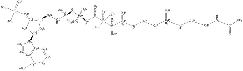 Image:Cholesterol.jpg