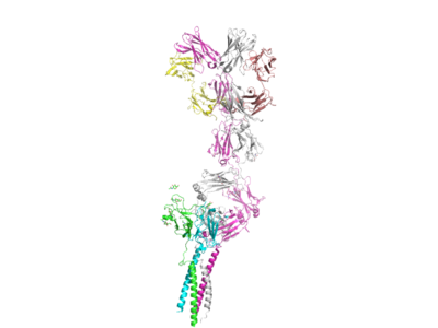 Figure 1. The coolest image of this protein EVAH!!!!
