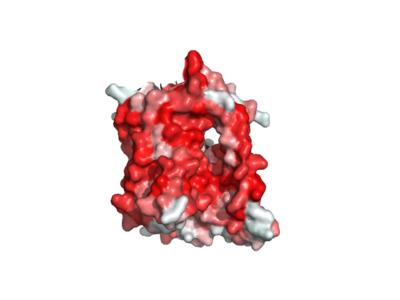 Figure 1. The coolest image of this protein EVAH!!!