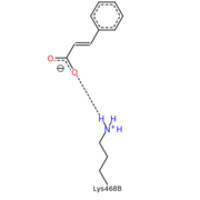 Figure 8. Lysine468 attachment to carboxyl group of substrate CIN Ligand